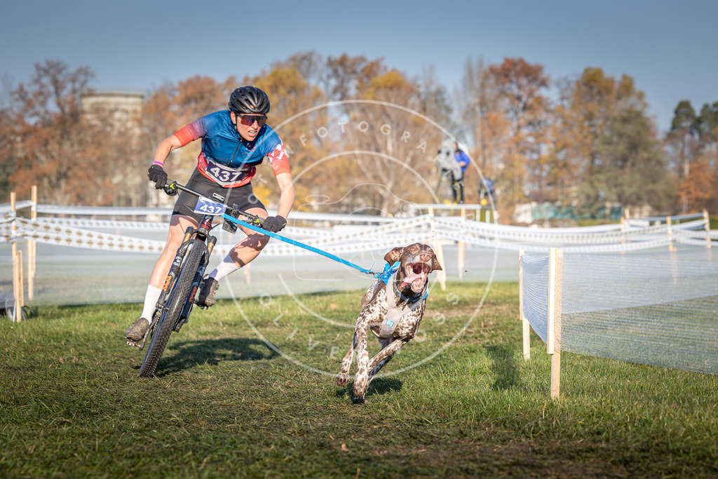 CaniXpix_0L8A4258 | Hundefotografie, Tierfotograf, Pfotenfotografie, Fotoshooting Hund, Hunde Portrait, Hundesport, Hundeportraits, Heideshooting, Hunde, Sportfotograf, Hundefotograf, Turnierhundsport, THS,  - Realisiert mit Pictrs.com