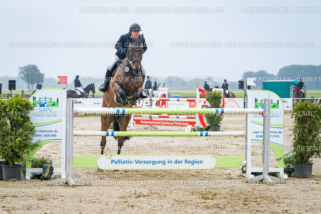 DSC00076 | Pferdegrafie