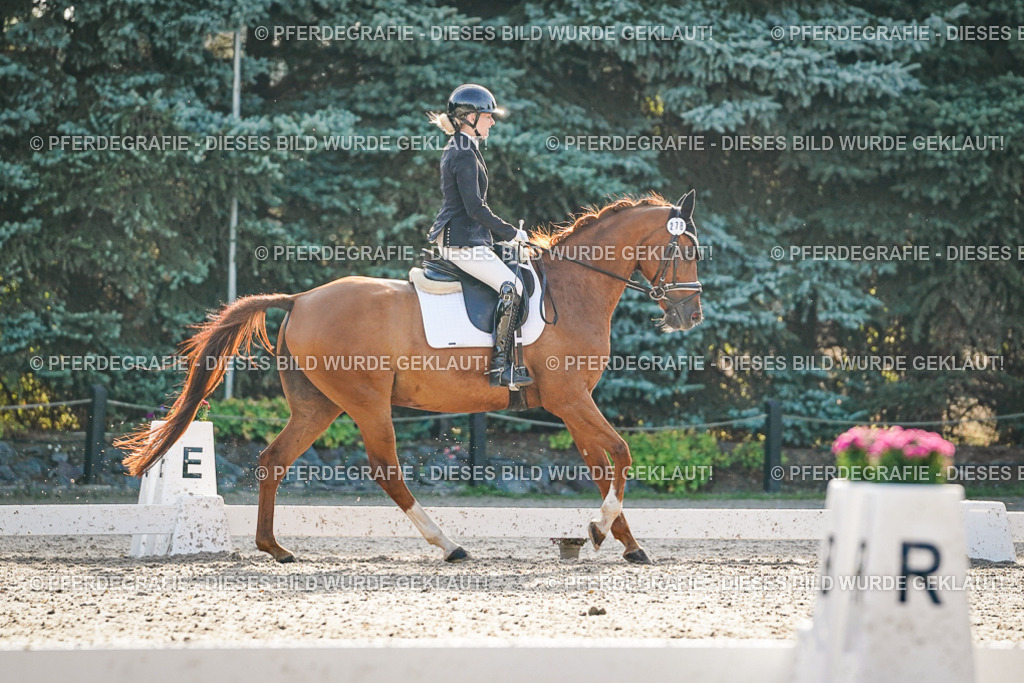 DSC08087 | Pferdegrafie