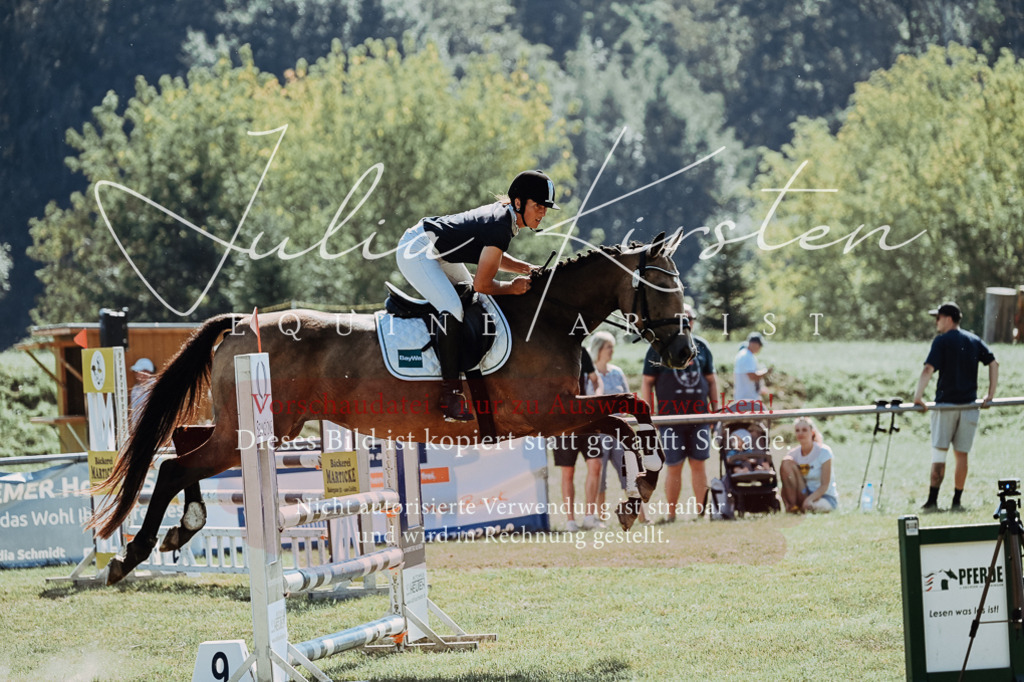 DSC_5952 | Pferde- und Turnierfotografie in Westsachsen. Pferdeportraits, Auftragszeichnungen und intuitive Kunst.