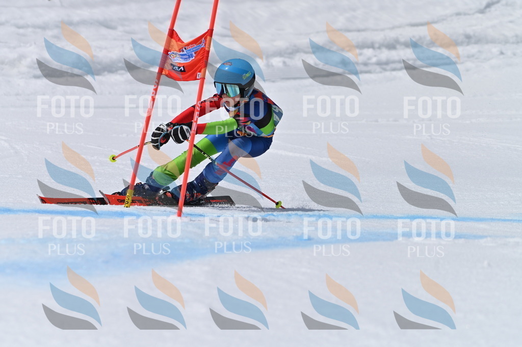 BGV_7150 | holidayphoto