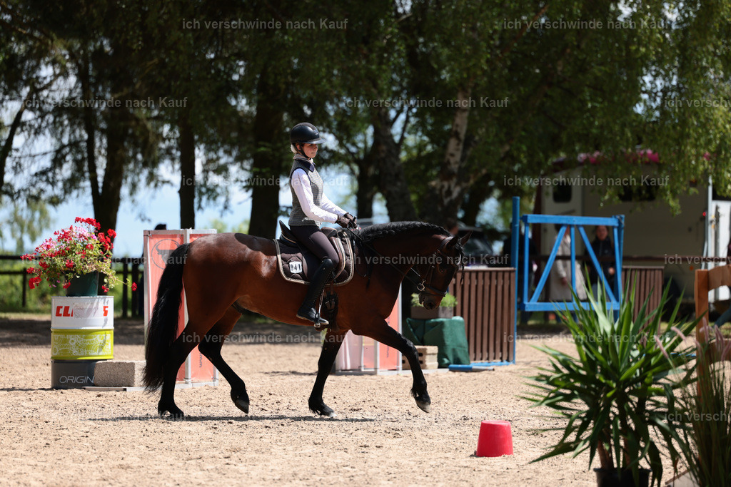 KlasseE_Stoibphotography_CAM22459.JPG | working equitationturnier fotograf videograf stoibphotography marixx film working equitation deutschland reitsport turnierfotografie eventfotografie equestrian events