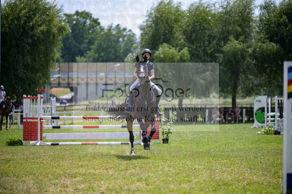 Reitturnier Voxtrup | Entdecke hochwertige Reitturnierfotos von Foto Oger. Professionell, emotional und authentisch – jetzt Lieblingsmomente im Shop bestellen.Deutschlandweite Turnierfotografie. - Realisiert mit Pictrs.com