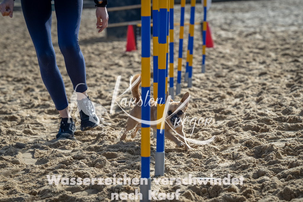 1103_ZZ90133-Bearbeitet | kk-dogfotos