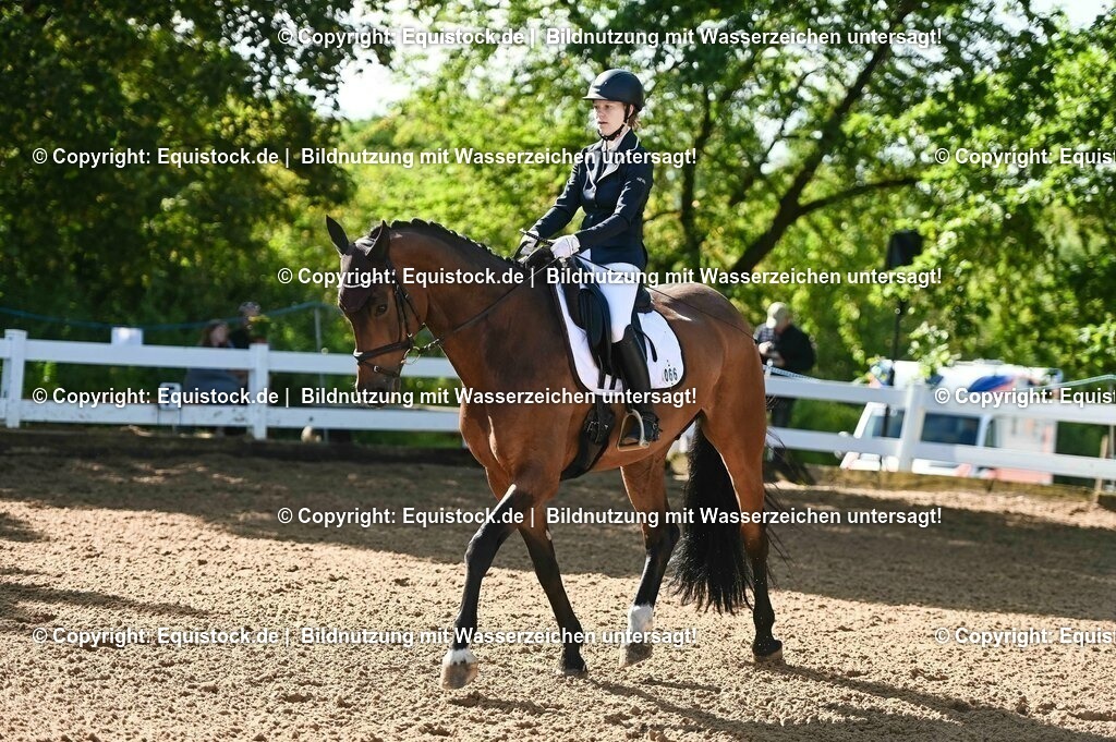 20230716_04_Dressurreiterprüfung Kl.A_0047 | equistock