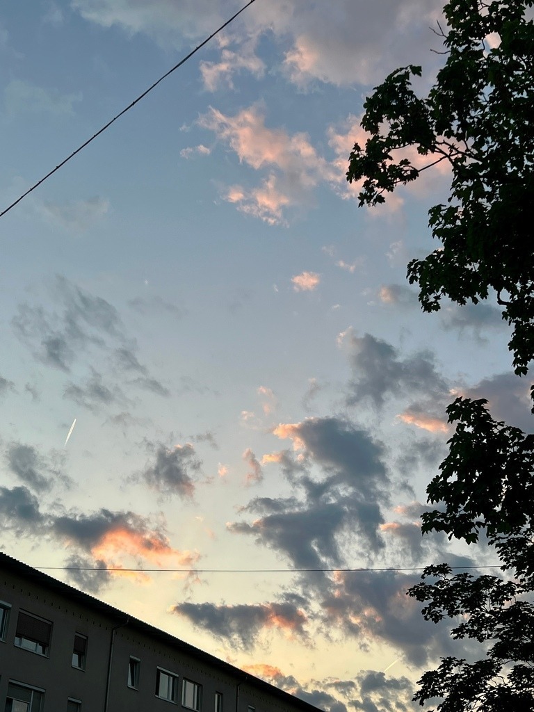 IMG_7414 | ace - Realisiert mit Pictrs.com