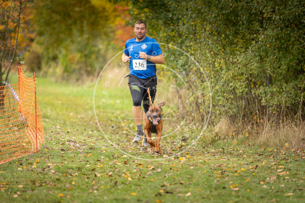 Pfotenfotografie_DV3A4422 | Hundefotografie, Tierfotograf, Pfotenfotografie, Fotoshooting Hund, Hunde Portrait, Hundesport, Hundeportraits, Heideshooting, Hunde, Sportfotograf, Hundefotograf, Turnierhundsport, THS,  - Realisiert mit Pictrs.com