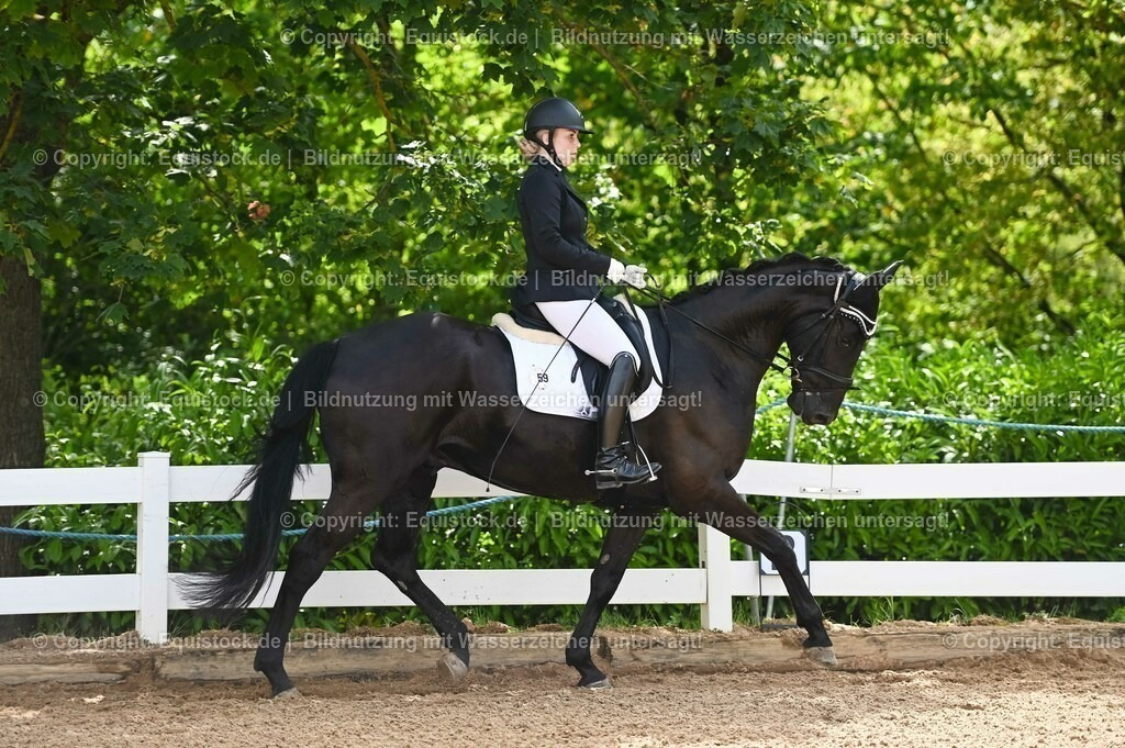 20230715_07_Dressurpferdeprfg. Kl.L_0144 | equistock