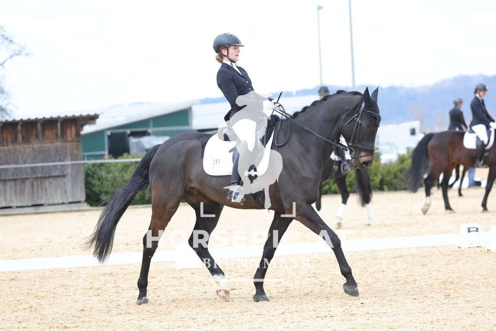 0P6A7080 | Willkommen bei Brunnmayr - Design & Fotografie – Ihrem Spezialisten für Reitturniere und Pferdeveranstaltungen in Oberösterreich, Salzburg und Bayern! Seit über 17 Jahren sind wir leidenschaftlich dabei.