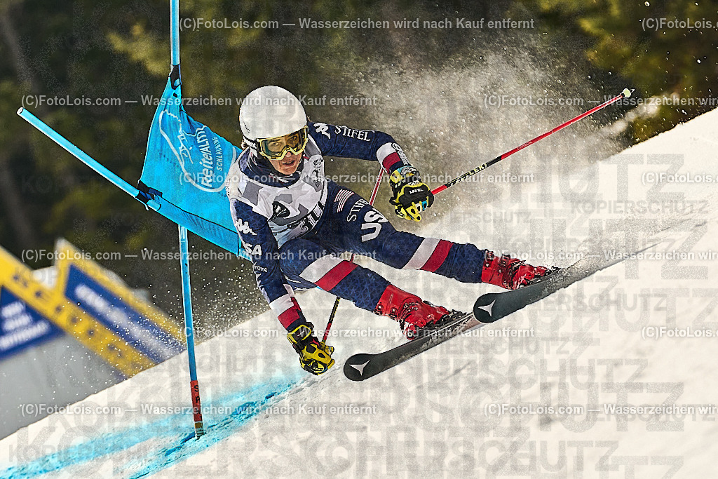 _WWO3548_MASTERS-WM_Reiteralm_CD-SG_HÖRHAGER Monika | FISWORLD CHAMPIONSHIPSMASTERS ALPINE SKIING, 23. – 28. MÄRZ 2026 - REITERALM | STMK | AUT.   Veranstaltet vom Masters-Referat des Deutschen Skiverbandes (DSV). Durchführende Organisation: WSV Pichl-Reiteralm, unterstütutzt von den Bergbahnen REITERALM bei Schladming und SKI AUSTRIA.                            Disziplinen:  Super-G, GiantSlalom, Slalom.                                                 Kategorien:  A (Herrn 30-59 Jahre), B (Herrn ab 60 Jahre), C (Damen 30-59 Jahre), D (Damen ab 60 Jahre).                Rennstrecken:   Gasselhöhe und Muldenliftpiste auf der Reiteralm.