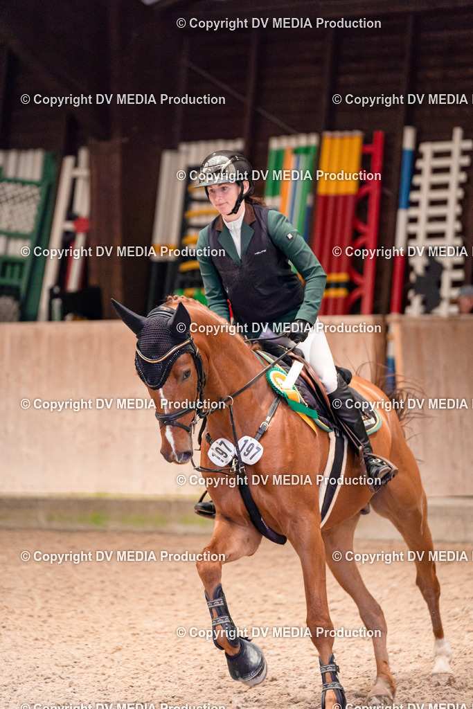 Springen Tag 1-262 | dv-media-shop - Realisiert mit Pictrs.com