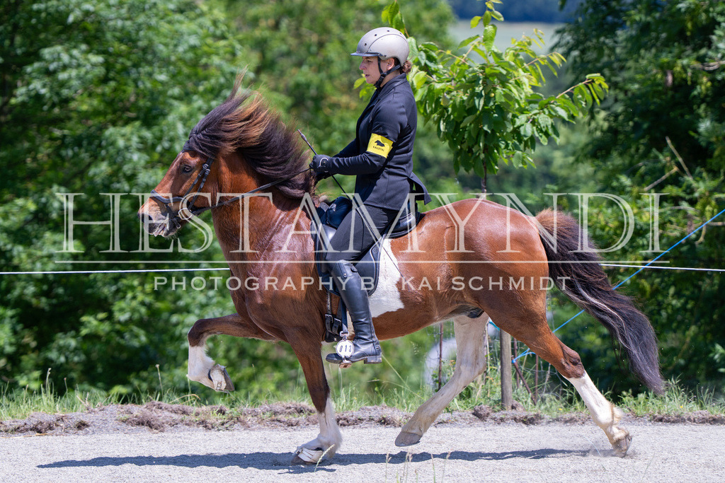 KAI03417 | Ihr sucht einen Fotografen für eure nächste OSI? Ich begleite auch euer Turnier für Islandpferde fotografisch.  - Realisiert mit Pictrs.com