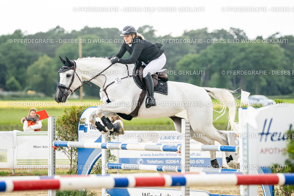 DSC06666 | Pferdegrafie