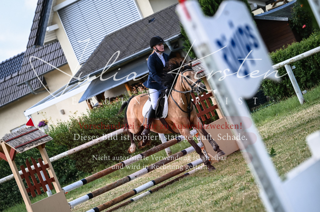 DSC_8044 | Pferde- und Turnierfotografie in Westsachsen. Pferdeportraits, Auftragszeichnungen und intuitive Kunst.