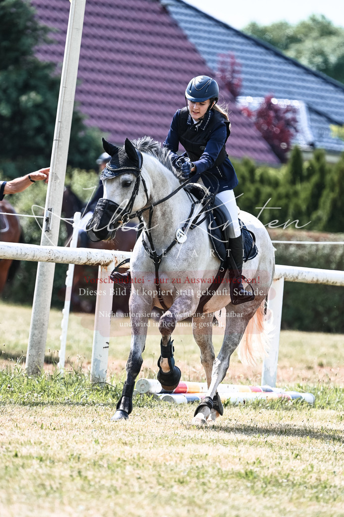 DSC_8823 | Pferde- und Turnierfotografie in Westsachsen. Pferdeportraits, Auftragszeichnungen und intuitive Kunst.
