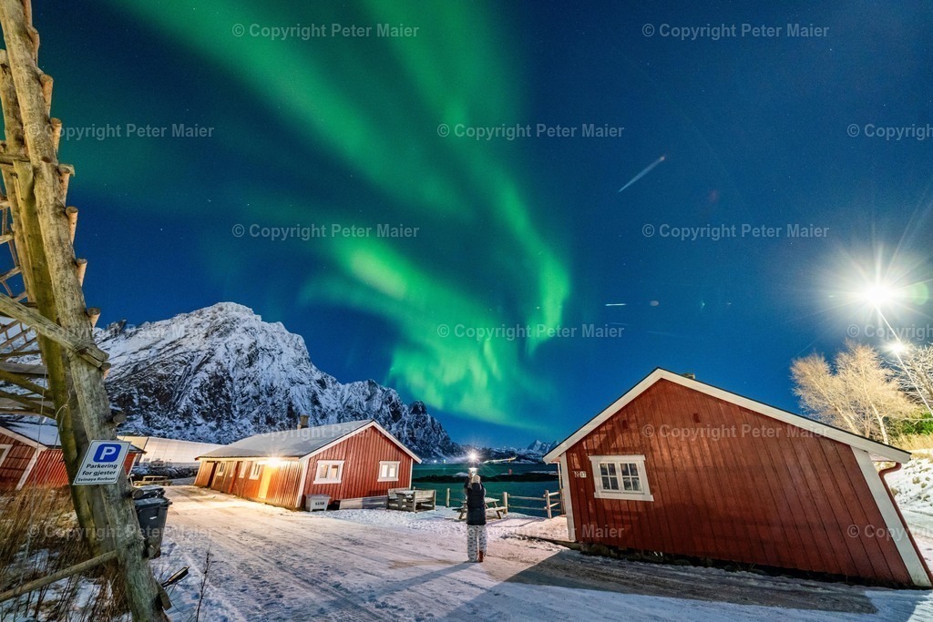 Lofoten_Nov_2023_Peter_Maier-7427 | piet_flosse