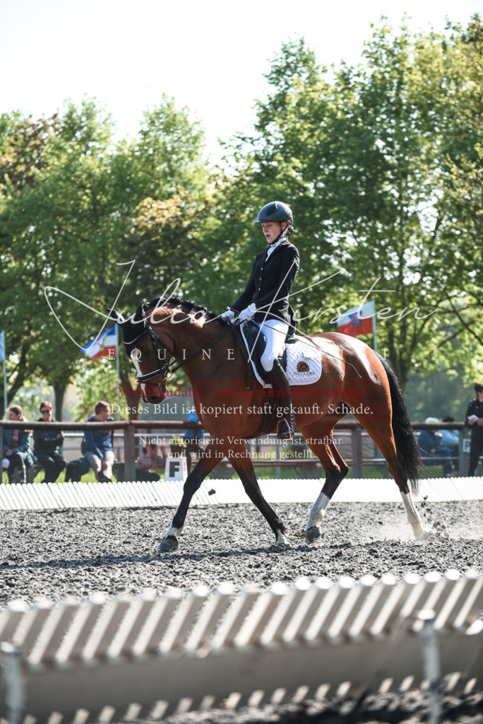 DSC_8690 | Pferde- und Turnierfotografie in Westsachsen. Pferdeportraits, Auftragszeichnungen und intuitive Kunst.