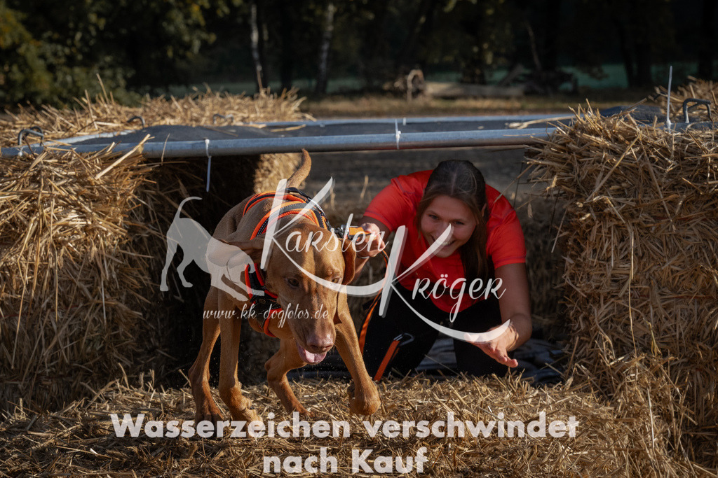 0956_ZZ95549 | kk-dogfotos