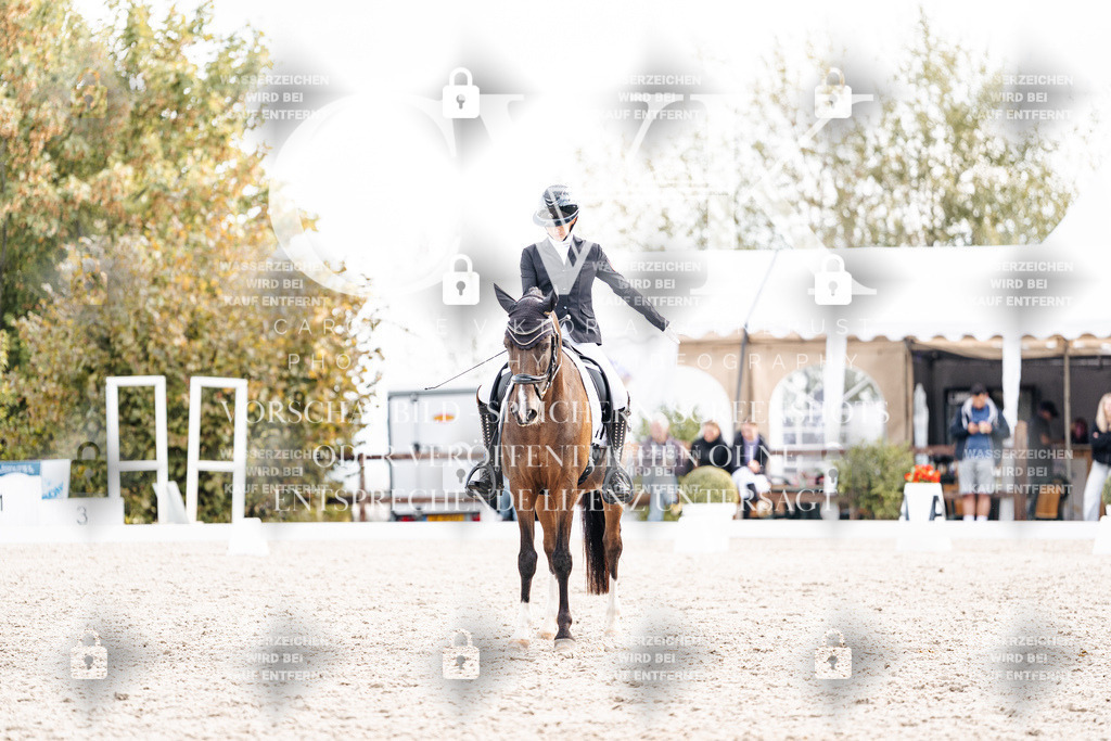 CK901600 | Turnierfotografie Pferdefotografie Trier Rheinland-Pfalz Pferdesport Reitsport Tierfotografie Sportfotografie Pferdevideo Pferdevideografie Equestrianvideography equestrianphotography  - Realisiert mit Pictrs.com