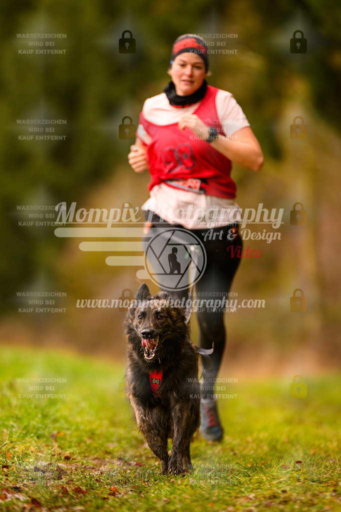 MompixPhotography_2SSTSSBW_2025_SO_Canicross-30 | PayLife