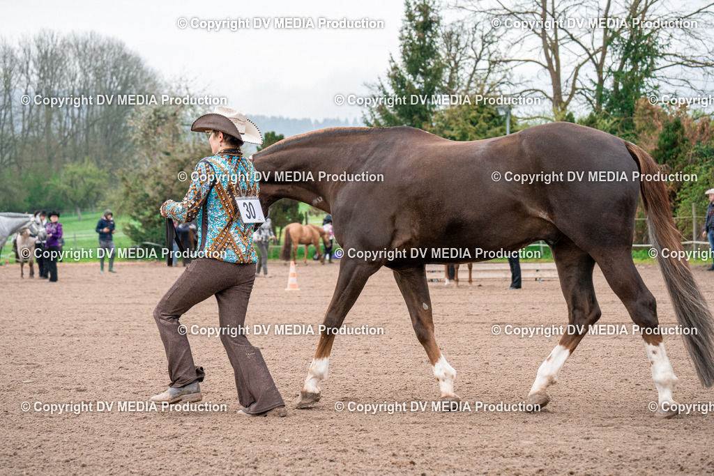 BA300036 | dv-media-shop - Realisiert mit Pictrs.com