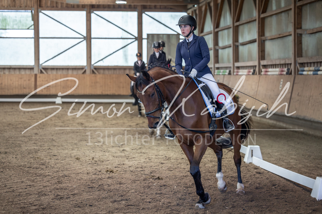 20251011-_3LI7882 | Tierfotografie Pferde, Hunde, Katzen, Haustiere.
Turnierfotografie Reitturniere, Reiten, Springreiten, Dressur in Hanau, dem Main-Kinzig-Kreis und dem Rhein-Main- Gebiet um Frankfurt