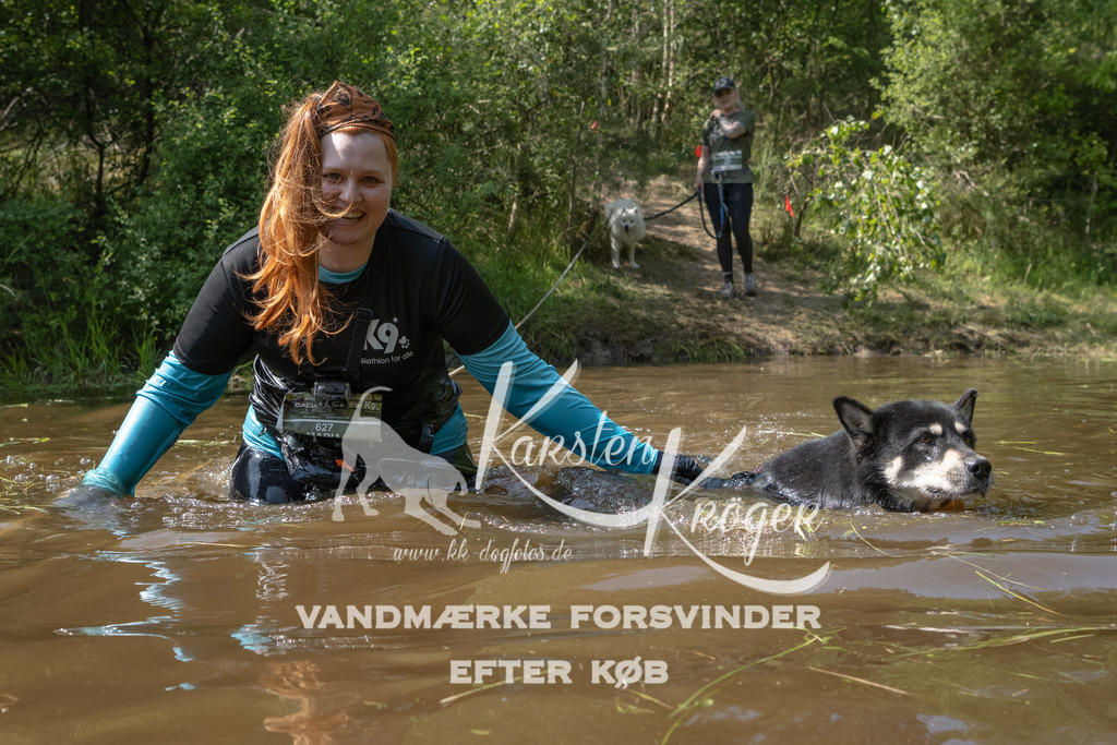 1515DKK990832 | kk-dogfotos