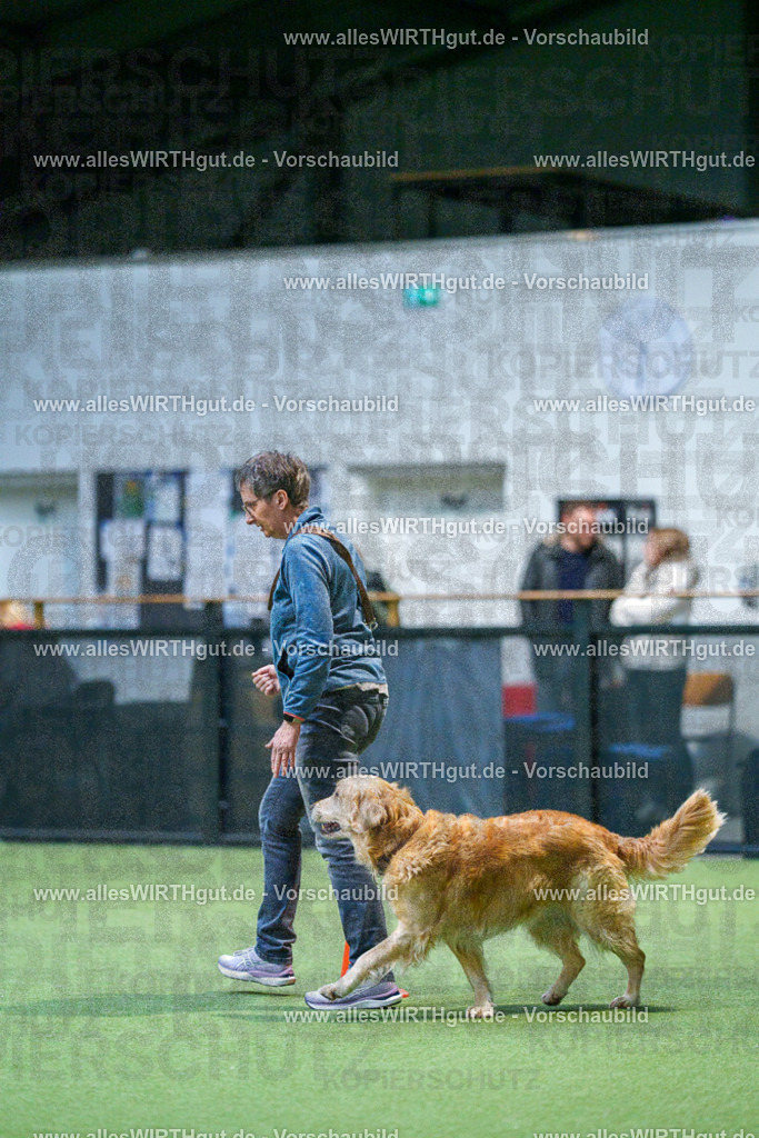 7R500728 | Professionelle Tierfotografie in Mönchengladbach von Daniel Wirth (allesWIRTHgut). Liebevolle & natürliche Bilder von Hunden & Katzen für unvergessliche Erinnerungen.