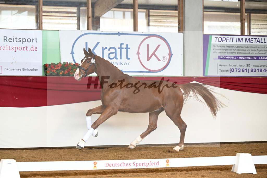 Kat-Nr. 49 Don Quijote v. Don Royal_Beuter_16250229 | hf-fotografie - Realizzato con Pictrs.com