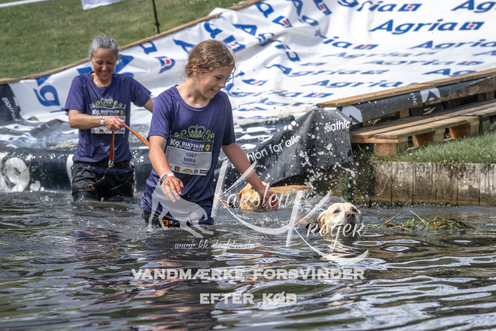 1258_ZZ99559 | kk-dogfotos