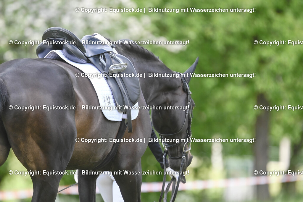 20250516_Impressionen_0085 | Foto: Thomas Hartig