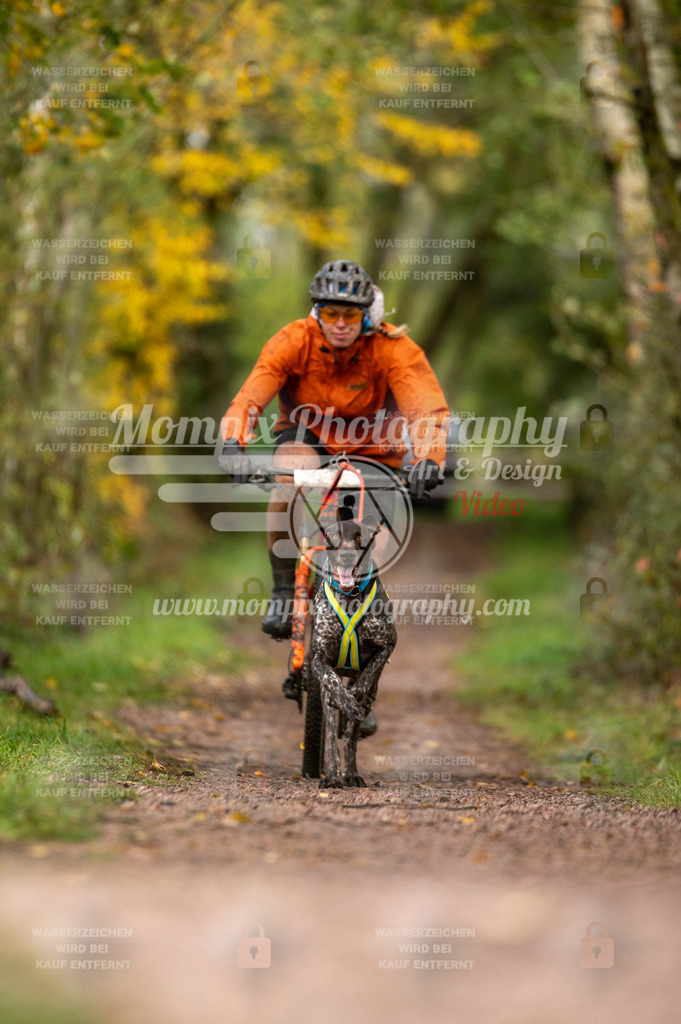 TSB_2023_E4_Bike-21 | PayLife