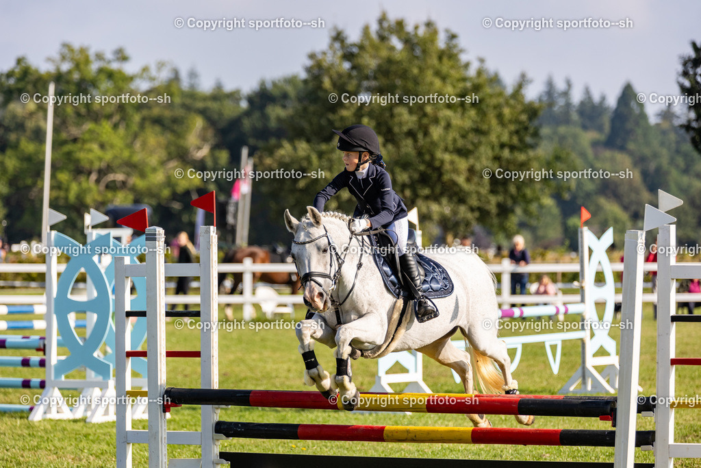 240831-VW-IS6A3349 | Sportfoto SH - Realisiert mit Pictrs.com