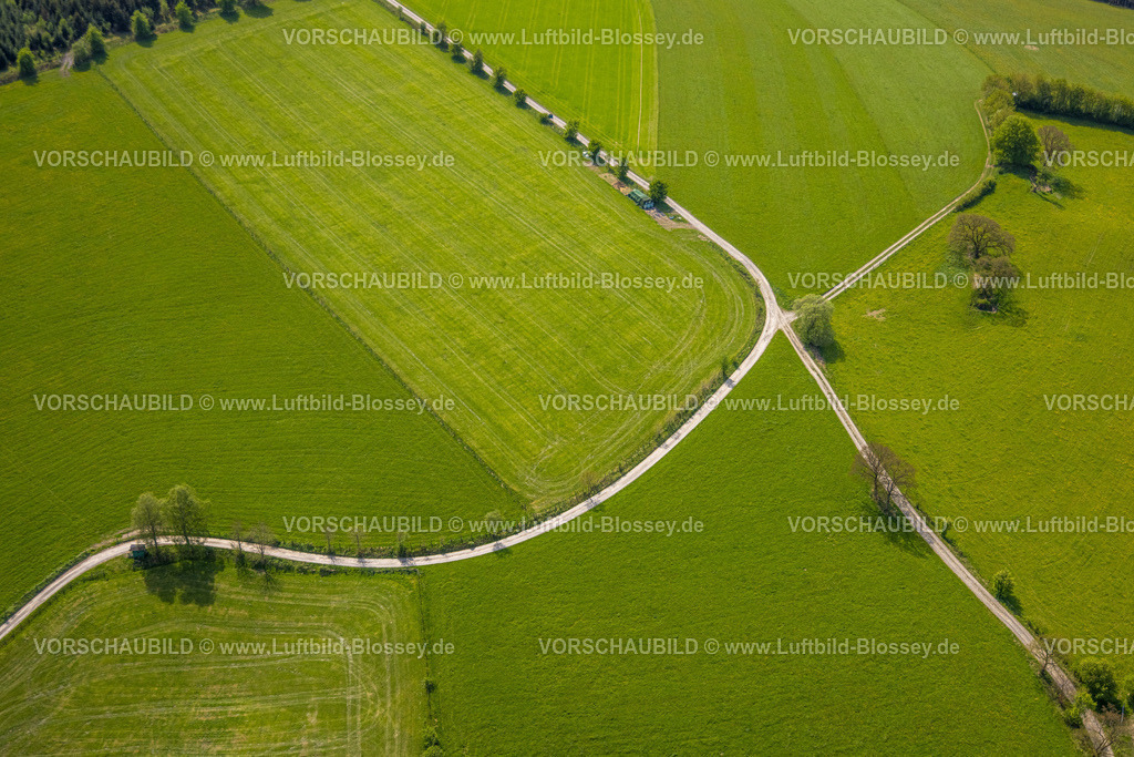Schmallenberg240505532 | Luftbild, Wegkreuzung Heintrop, grüne Wiesen und Felder mit Waldgebiet, Baumallee, Grafschaft, Schmallenberg, Sauerland, Nordrhein-Westfalen, Deutschland