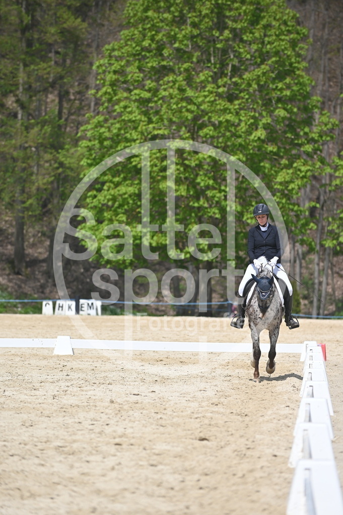 DSC_2278 | sattelsport - Realisiert mit Pictrs.com