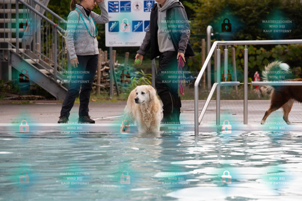 _HP_7541_1000o | HetPix, HetPix Fotodesign, Fotografie, Fotodesign, Webshop, Sportfotografie, Portraitfotografie, Onlineshop, Sportfotografie, Polch, Motorsportfotografie, Eventfotografie