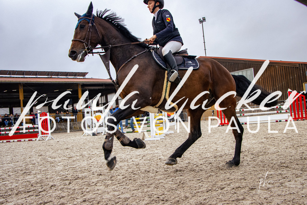 IMG_2964 | Erleben Sie dynamische Sport- und emotionale Tierfotografie in Süddeutschland mit Fotos von Paula. Spezialisiert auf Pferde- und Hundefotografie sowie Sportevents. Kontaktieren Sie mich für einzigartige und ausdrucksstarke Bilder Ihrer besonderen Momente. - Realisiert mit Pictrs.com