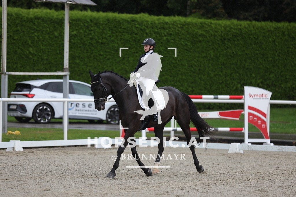 0P6A0649 | Willkommen bei Brunnmayr - Design & Fotografie – Ihrem Spezialisten für Reitturniere und Pferdeveranstaltungen in Oberösterreich, Salzburg und Bayern! Seit über 17 Jahren sind wir leidenschaftlich dabei.