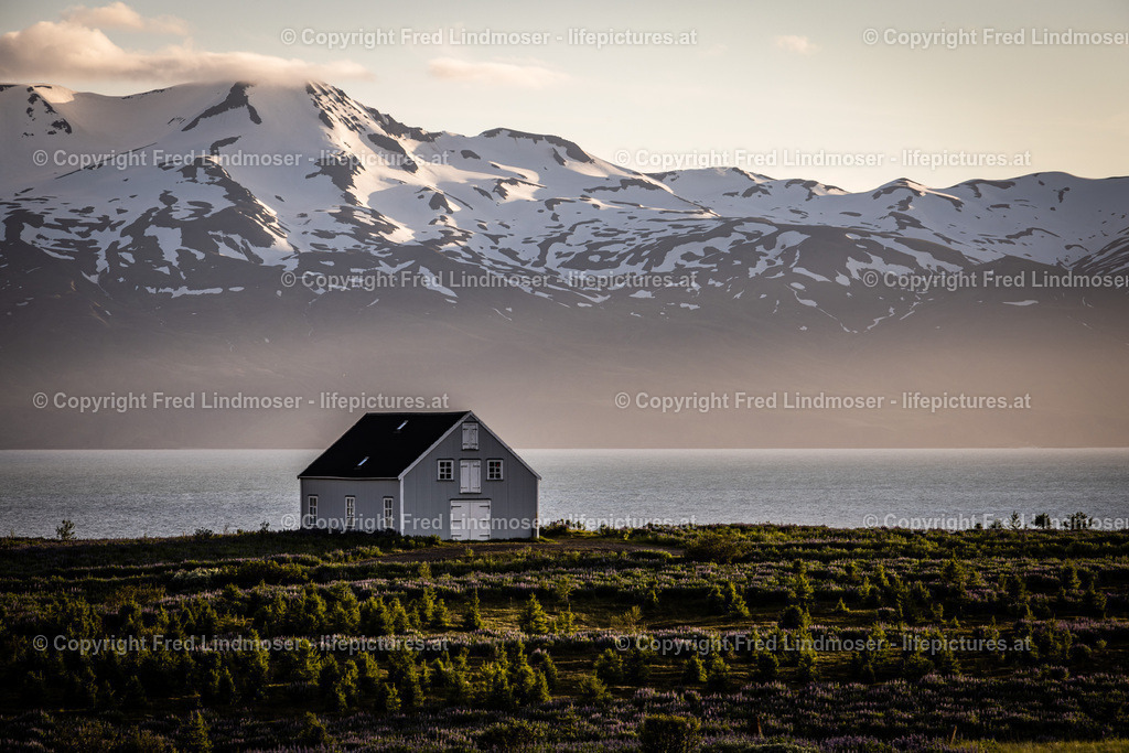 Island Juni 2022-0105 | Fotos und Fotoprodukte - Realisiert mit Pictrs.com