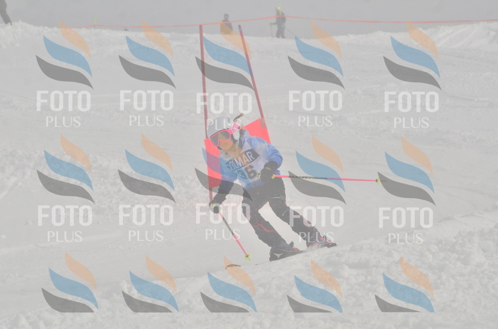 A5283 | holidayphoto