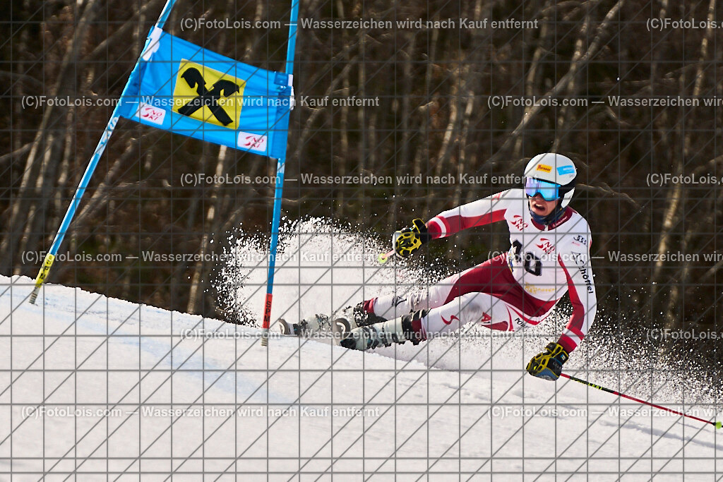 ALP8484_Herrn-FIS-GS-II_Lackenhof-WY_PITZER Willi | Internationaler FIS GiantSlalom der Herrn auf der Distelpiste in Lackenhof am Di 11. März 2025.  Österreich, LSV-NÖ, Sportunion Waidhofen/Ybbs (2035).