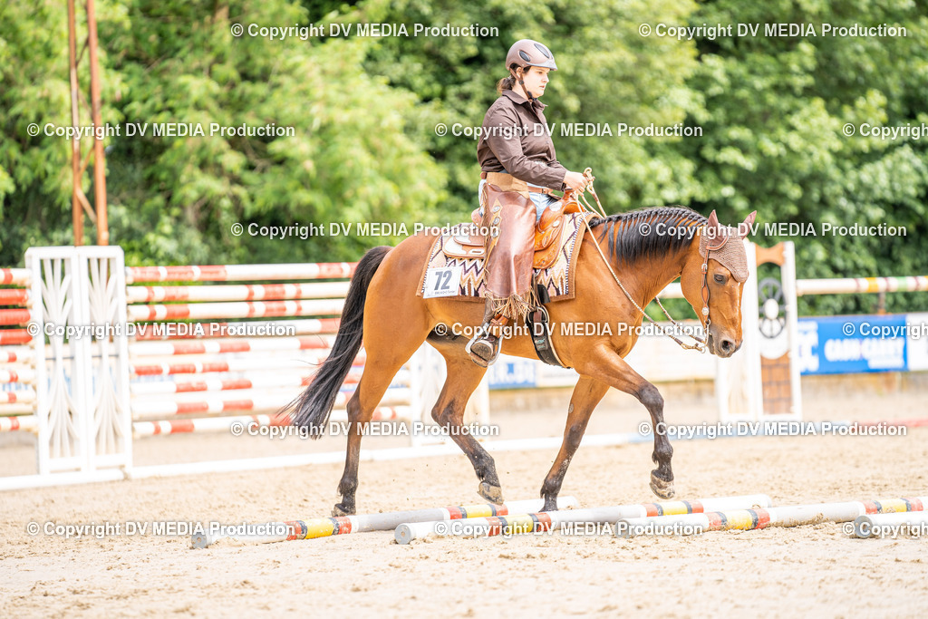 Zeiskam Tag 1-701 | dv-media-shop - Realisiert mit Pictrs.com