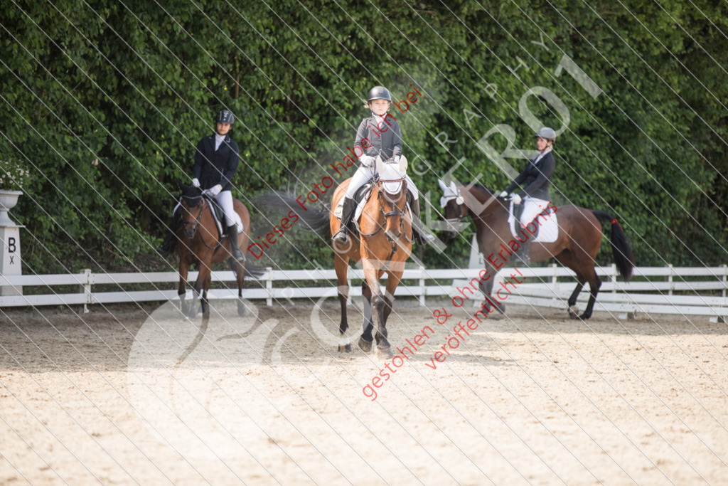 IMG_3455 | Sport-, Event- und Tierfotos in Profiqualität. Einfach auswählen, bestellen und herunterladen. Dein Moment – perfekt festgehalten.