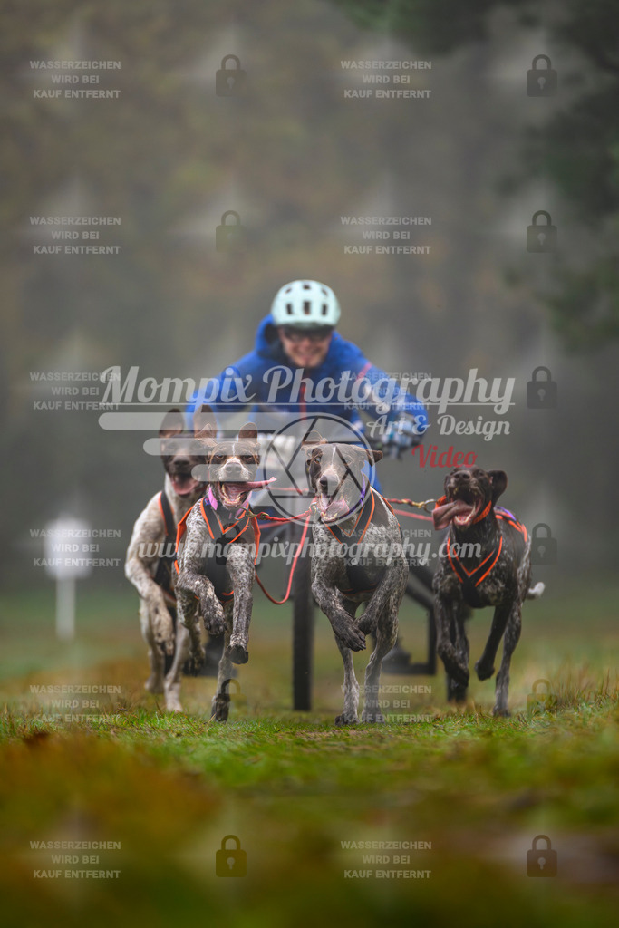 MompixPhotography_Bischwiller2025_Kart-10 | mompixphotography