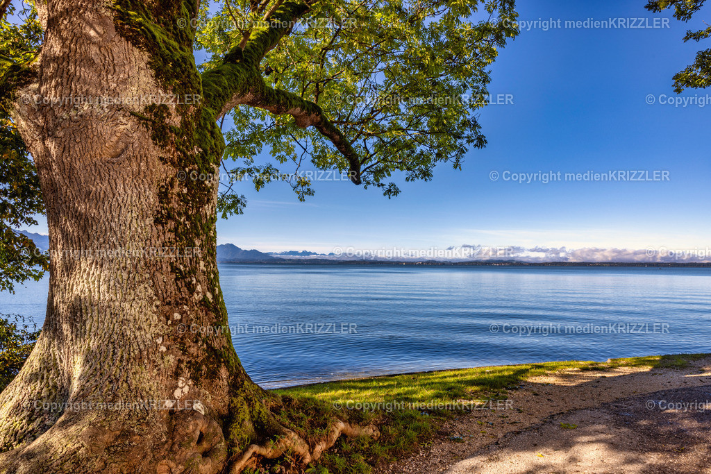 _J3A5923 | medienkrizzler - Realisiert mit Pictrs.com