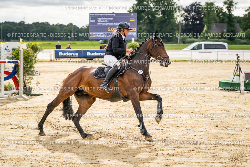 DSC05982 | Pferdegrafie