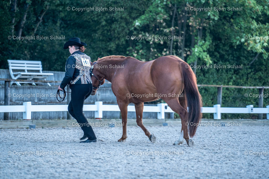 HOB07605 | BS-foto