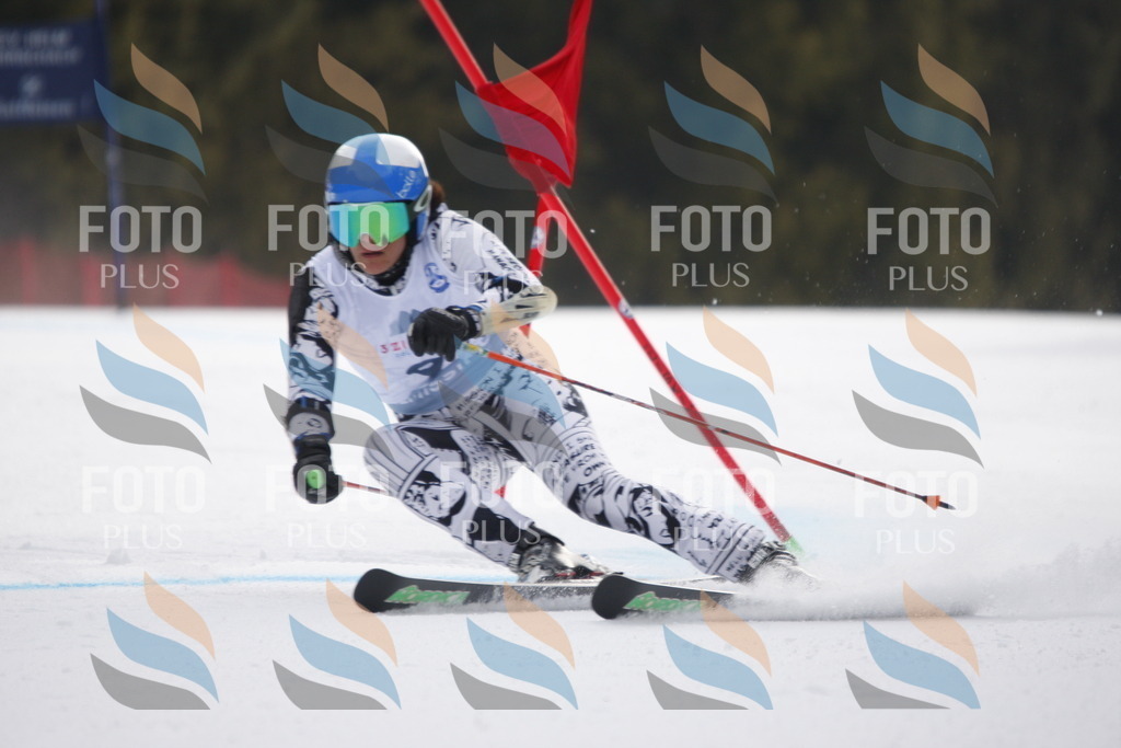 D4696 | holidayphoto