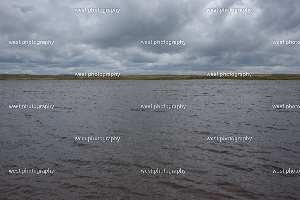 Pebble atmosphere PLB - FLK 2014 | west photography - Realisiert mit Pictrs.com