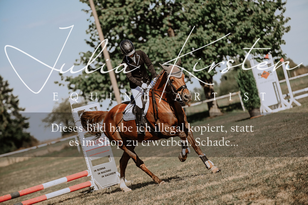 DSC_9369 | Pferde- und Turnierfotografie in Westsachsen. Pferdeportraits, Auftragszeichnungen und intuitive Kunst.